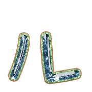 121