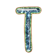 181