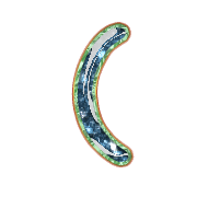 234