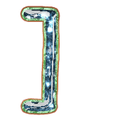 241