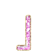 255