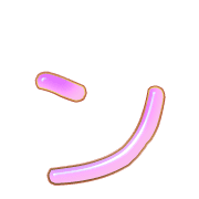 126