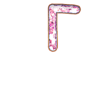 254