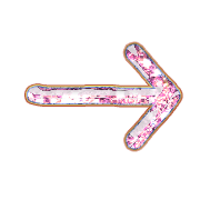 262