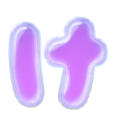 009