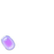 256