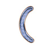 234