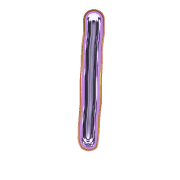 199