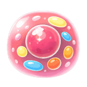 002