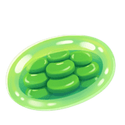 009