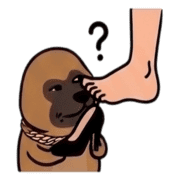 029