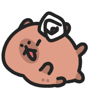 003