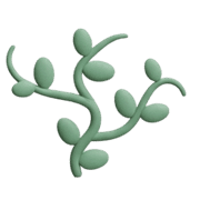 003
