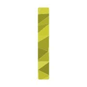 242