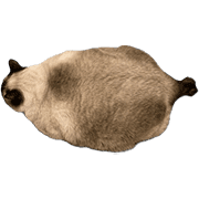 017