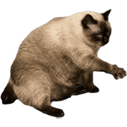 019