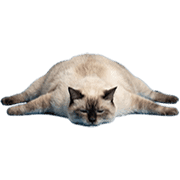 040