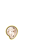 245