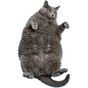 004