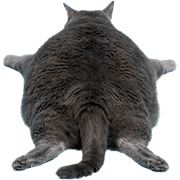 005