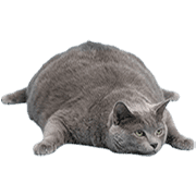 017