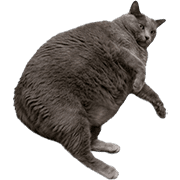 031
