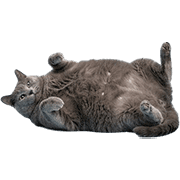040