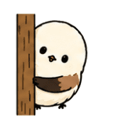 019