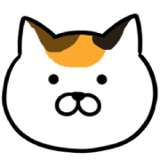 019
