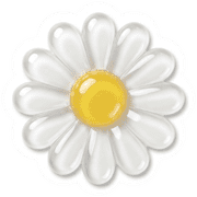 029