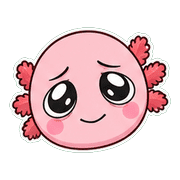 019