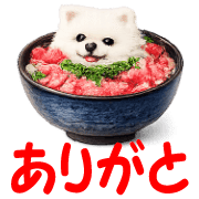 020