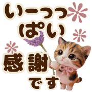 008