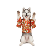 031
