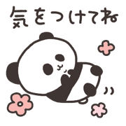 006