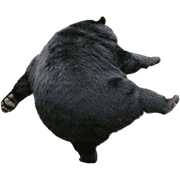 035