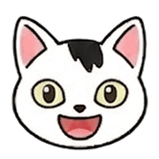 003