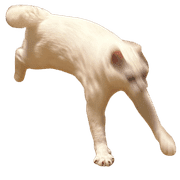 021