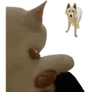 026