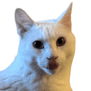 032