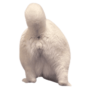 035