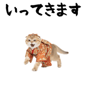008