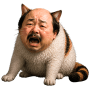 020