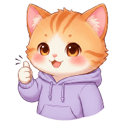 005