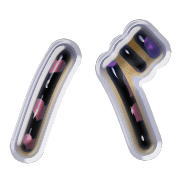 151