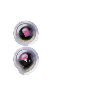 243
