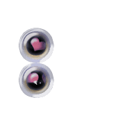 244