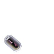256