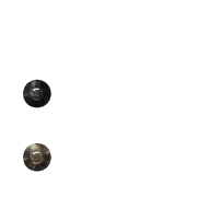 244