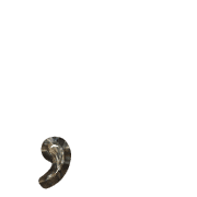 245